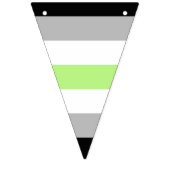 Agender Pride-vlag Vlaggetjes (Tweede vlag)