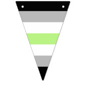 Agender Pridevlag – Agender identiteit LGBTQIA+ Vlaggetjes (Tweede vlag)