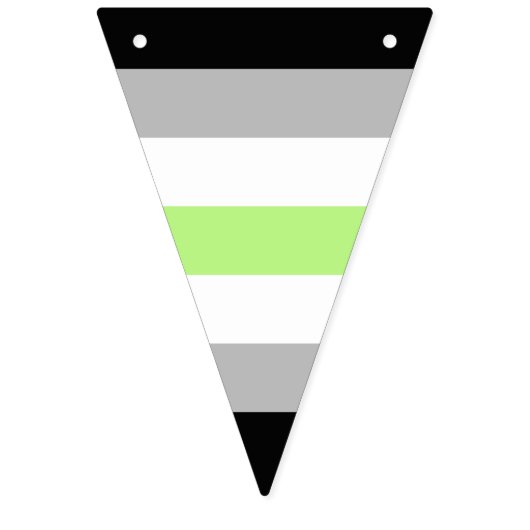 Agender Pridevlag – Agender identiteit LGBTQIA+ Vlaggetjes (Eerste vlag)