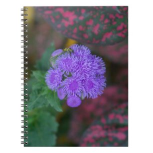 Ageratum in een tuin notitieboek