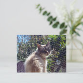 Aggie Briefkaart (Staand voorkant)
