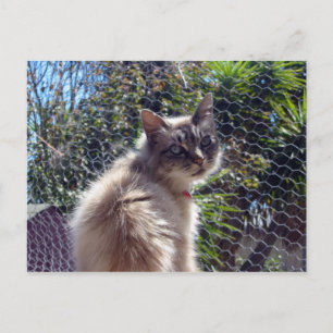 Aggie Briefkaart