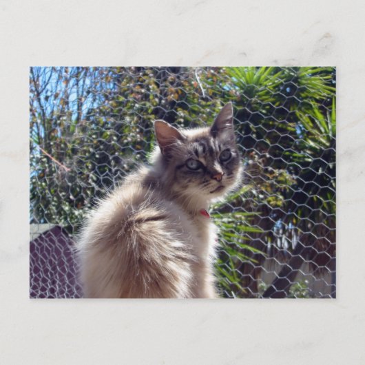 Aggie Briefkaart (Voorkant)