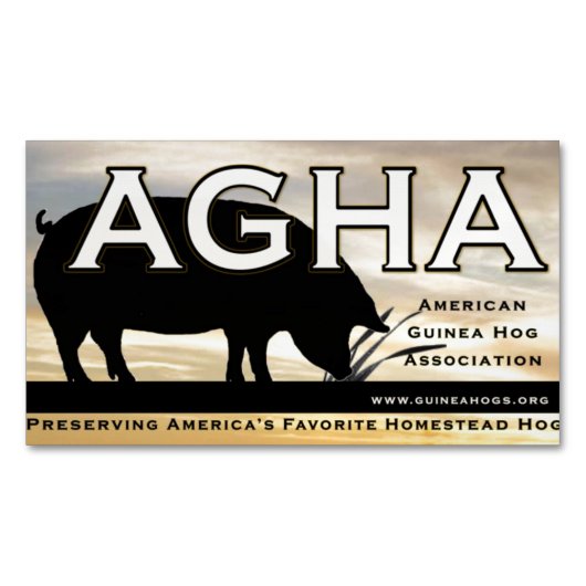 AGHA-kleurenmagneet Magnetisch Visitekaartje (Voorkant)