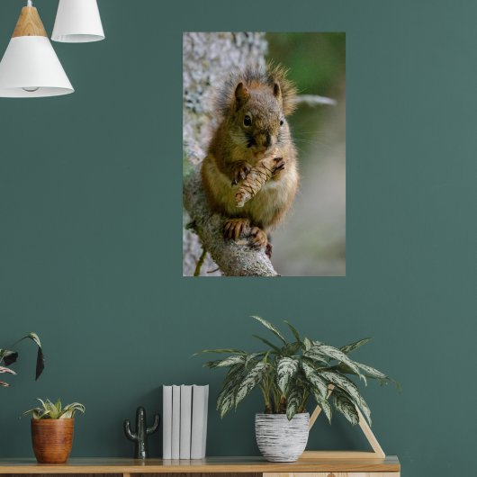 Agile Brown Squirrel in Alberta Poster (Woonkamer 1)
