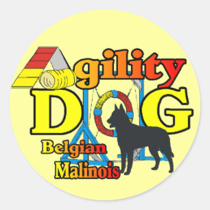 Agility Belgische Malinois Gifts Stickers