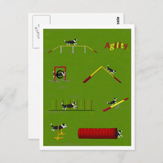 Agility Border Collie Briefkaart (Voorkant / Achterkant)