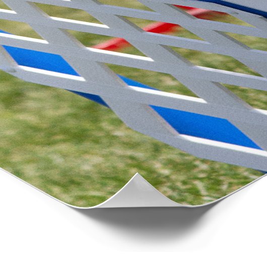 Agility Border Collie Poster (Hoek)