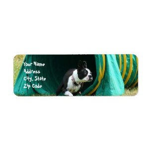 Agility Boston Terrier Adresetiketten Etiket
