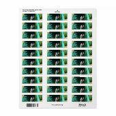 Agility Boston Terrier Adresetiketten Etiket (Full Sheet)