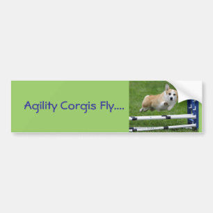 Agility Corgis Fly Bumpersticker