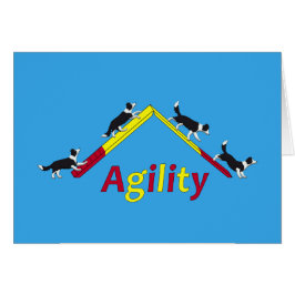 Agility dog