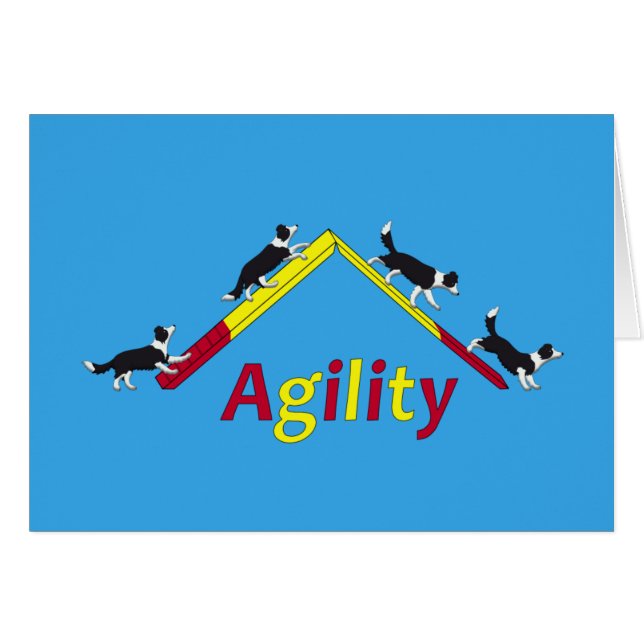 Agility dog (Voorkant Horizontaal)