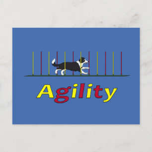 Agility dog briefkaart