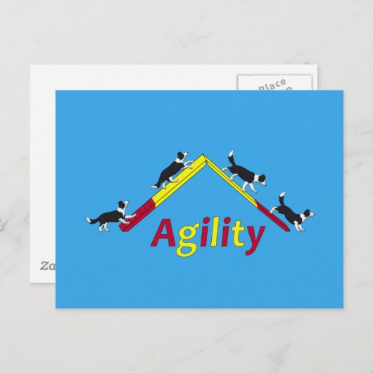 Agility dog briefkaart (Voorkant / Achterkant)