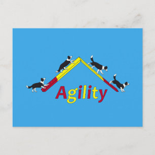 Agility dog briefkaart