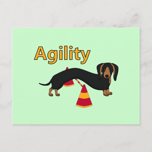 Agility dog briefkaart (Voorkant)
