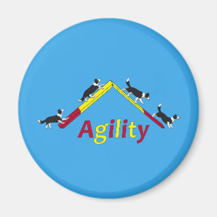Agility dog magneet