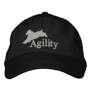 Agility Engelse Springer Spaniel Pet