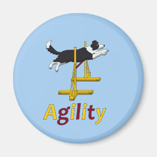 Agility hond magneet