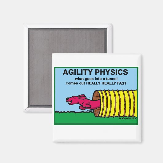 Agility Physics Magneet (Voorkant / Achterkant)