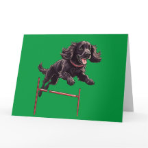 Agility Spaniel Gevouwen Wenskaart