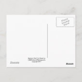 Agitated Red Tail Hawk Briefkaart (Achterkant)