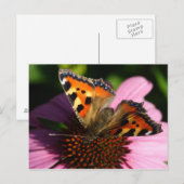 Aglais urticae briefkaart (Voorkant / Achterkant)