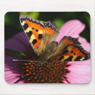 Aglais urticae muismat