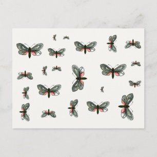 Aglaope infausta - Almond-Tree Leaf Skeletonizer Briefkaart