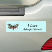 Aglaope infausta - Almond-Tree Leaf Skeletonizer Bumpersticker (Op auto)