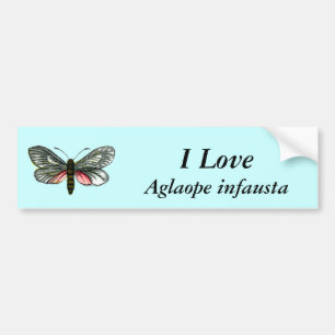 Aglaope infausta - Almond-Tree Leaf Skeletonizer Bumpersticker