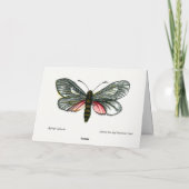 Aglaope infausta - Almond-Tree Leaf Skeletonizer Kaart (Achterkant)