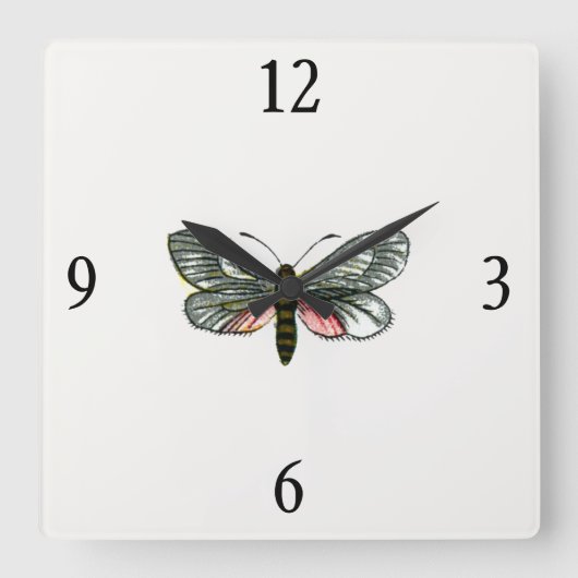 Aglaope infausta - Almond-Tree Leaf Skeletonizer Vierkante Klok (Voorkant)