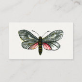 Aglaope infausta - Ammoniumblaasschottong B Visitekaartje (Achterkant)