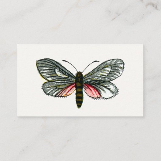 Aglaope infausta - Ammoniumblaasschottong B Visitekaartje (Achterkant)