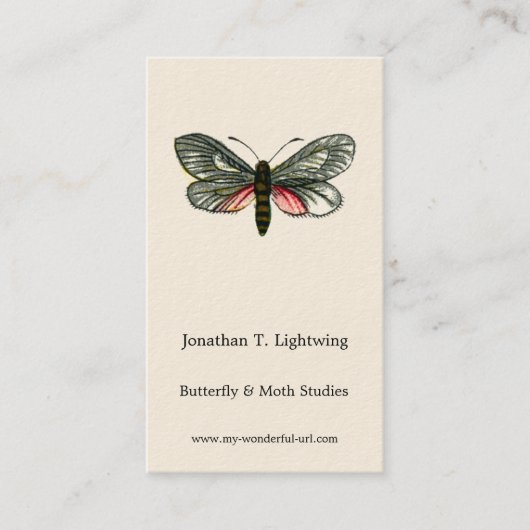 Aglaope infausta - Ammoniumblaasschottong B Visitekaartje (Voorkant)