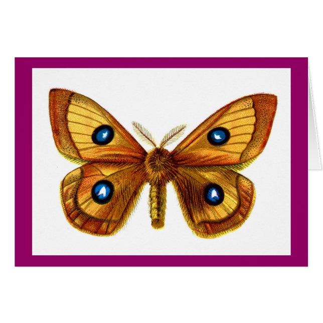 Aglia Tau Butterfly (Voorkant Horizontaal)