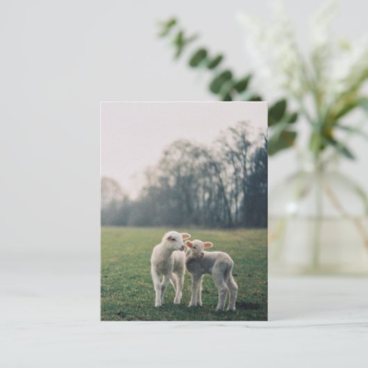 Agneaux Briefkaart (Staand voorkant)