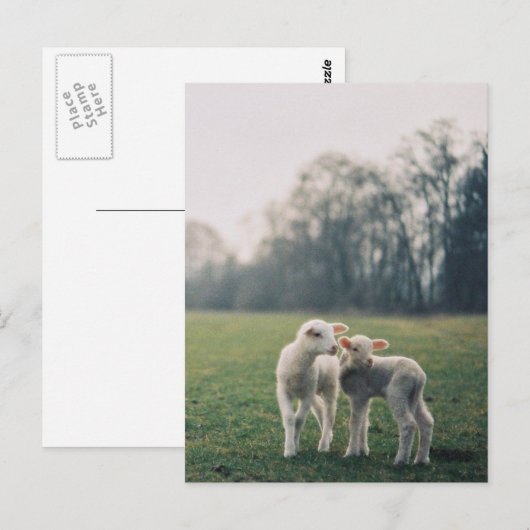 Agneaux Briefkaart (Voorkant / Achterkant)
