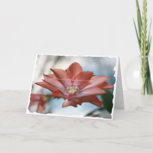 Agnes de kerstcactus Prediker 3:11 Feestdagen Kaart (Voorkant)