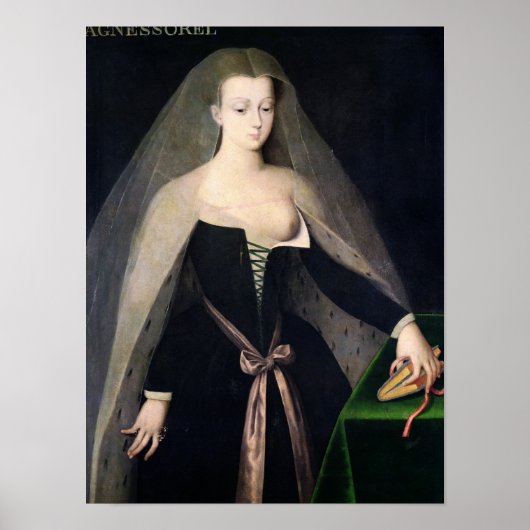 Agnes Sorel Poster (Voorkant)