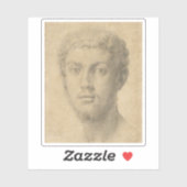 Agnolo Bronzino - Hoofd van een Man Sticker (Vel)