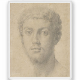 Agnolo Bronzino - Hoofd van een Man Sticker