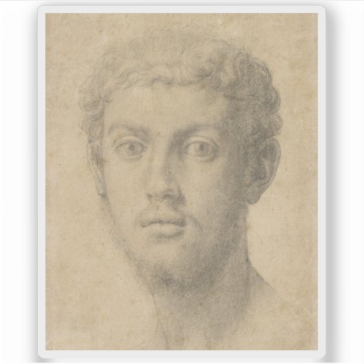 Agnolo Bronzino - Hoofd van een Man Sticker (Voorkant)
