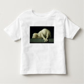 Agnus Dei, c.1635-40 Kinder Shirts (Voorkant)