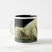 Agnus Dei, c.1635-40 Tweekleurige Koffiemok (Voorkant links)