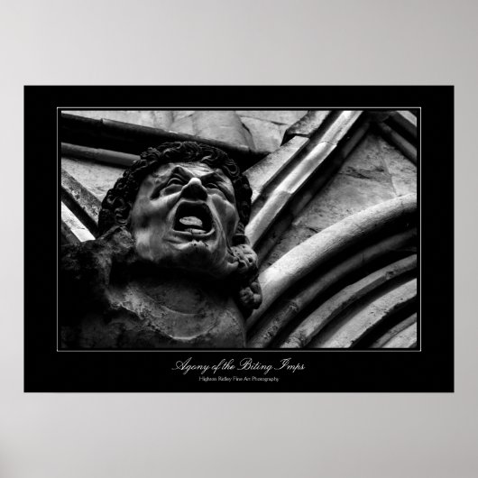 Agony of the Biting Imps Gothic Fine Art Poster (Voorkant)
