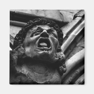 Agony of the Biting Imps Gothic Gargoyle Magneet