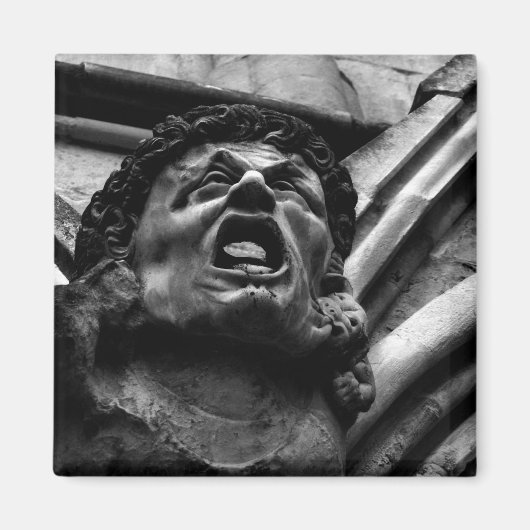 Agony of the Biting Imps Gothic Gargoyle Magneet (Voorkant)